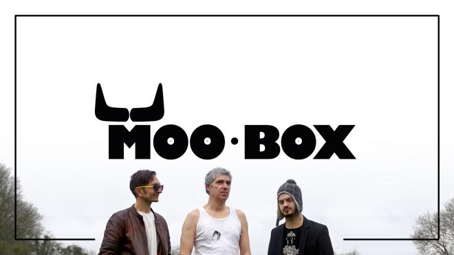 Moo Box