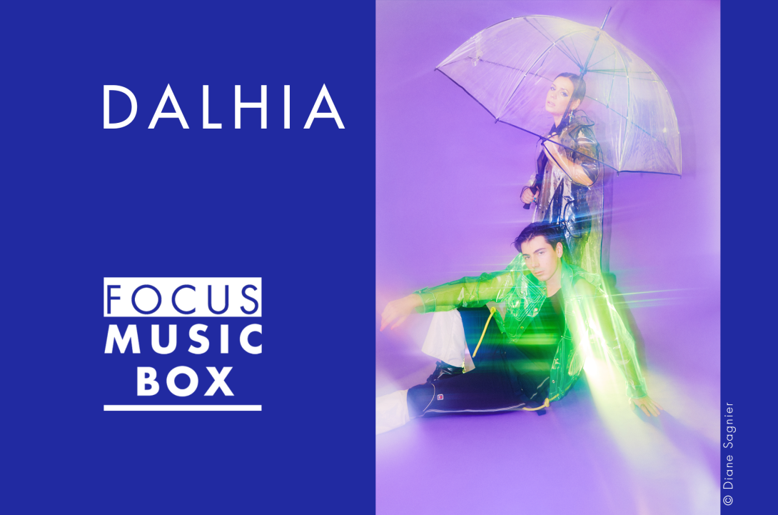 Focus Music-Box #33 : Dalhia